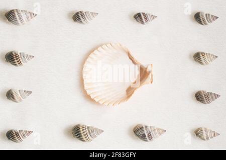 Summer composition with different seashells on beige beach sand background. Difference, individuality, leadership and uniqueness concept Stock Photo