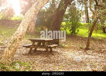 Wooden benchs and table for picnic in the natural park Stock Photo