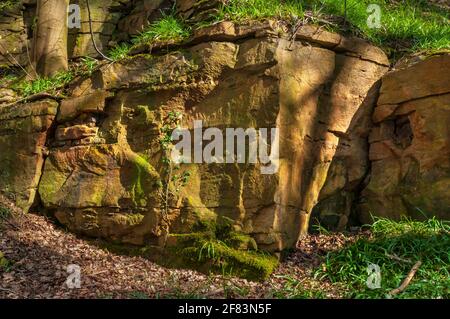 Small abandoned sandstone quarry in dappled sunlight in Newfield Spring Wood, ancient woodland in Jordanthorpe, near Sheffield Stock Photo