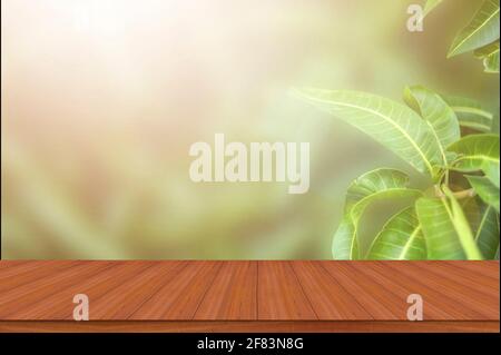 Natural mango leaf with wooden table backgrounds. Stock Photo