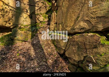 Small abandoned sandstone quarry in dappled sunlight in Newfield Spring Wood, ancient woodland in Jordanthorpe, near Sheffield Stock Photo