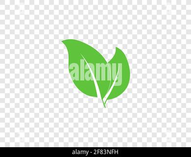 Vector illustration. Green leaf Eco icon Stock Vector