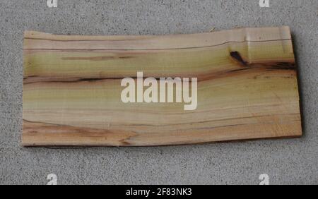 Small slab of Rainbow Poplar Stock Photo