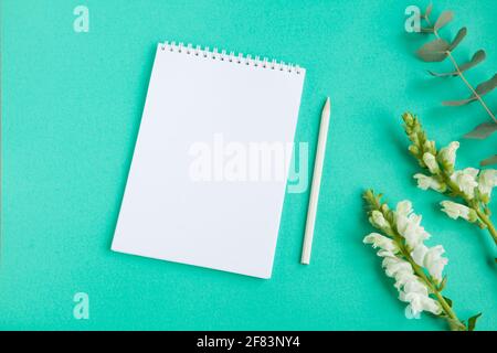 Top view of blank sheet of notebook and white pencil and white flowers on green table. Copy space. Stock Photo