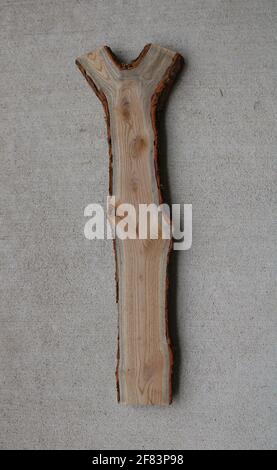 Small Slab of Sassafras Wood Stock Photo