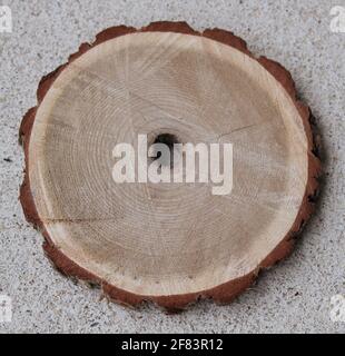 Slice of Sassafras Wood, Approximately 4' diameter. Stock Photo