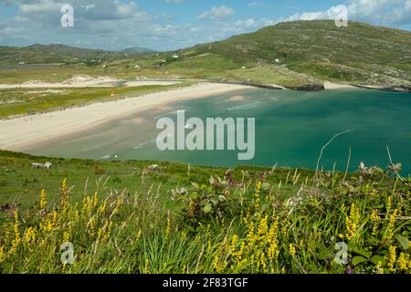 Barleycove beach on the Mizen peninsula on the Wild Atlantic Way in West Cork in Ireland Stock Photo