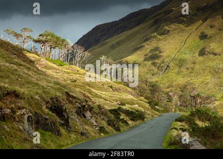 Doolough valley and mountains on the Wild Atlantic Way in County Mayo in Ireland Stock Photo