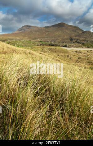 Silver strand and Mweelrea mountain on the Wild Atlantic Way in Mayo in Ireland Stock Photo