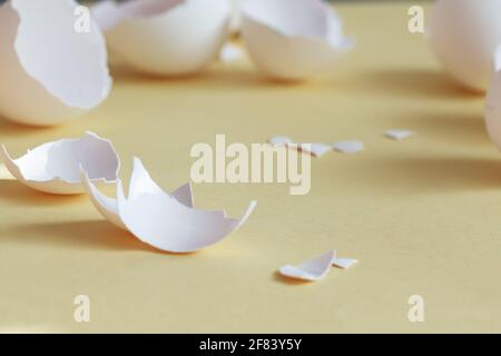 broken egg shell on yellow background with space for text, begging of life concept Stock Photo