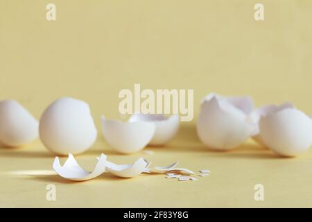 broken egg shell on yellow background with space for text, begging of life concept Stock Photo