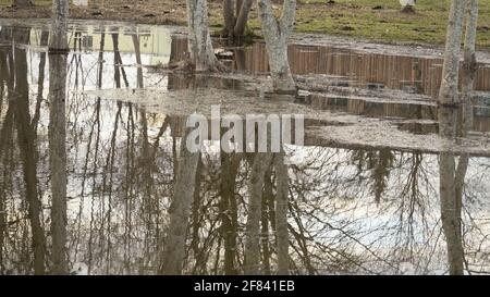 Landscape with flooded areas during spring floods in urban nature. Slight ripples on the water surface in windy weather. Springtime flood water time. Stock Photo