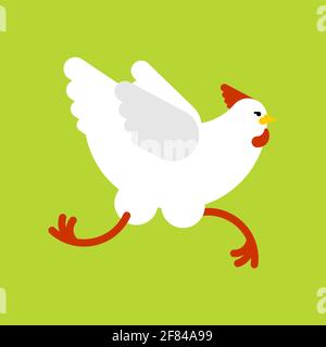 Chicken running isolated. Chicken run. vector illustration Stock Vector ...