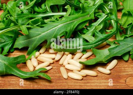 Rocket and seeds (Eruca vesicaria sativa) , rocket, arugula, arugula, rocket salad Stock Photo