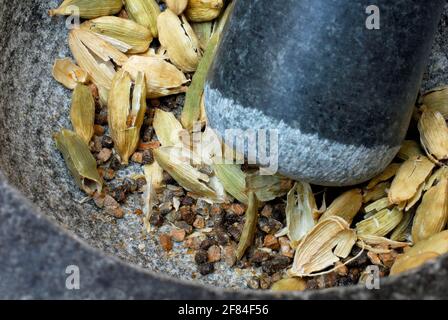 Seed capsules of cardamom (Elettaria cardamomum) in mortar Stock Photo