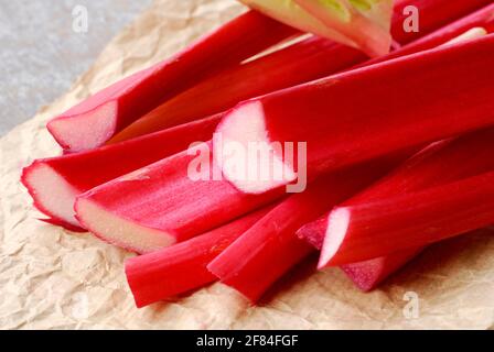 Rhubarb (Rheum rhabarbarum) Stock Photo