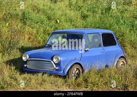 Small blue car parked in grass Stock Photo
