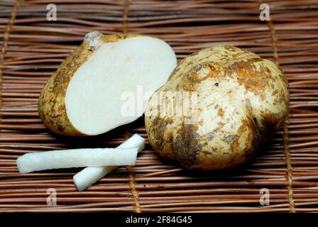 Pachyrhizus erosus (Pachyrhizus erosus) root bulb, benkuang, jicama, tuber bean Stock Photo