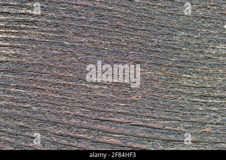 Gray board, wood texture, wooden background, damaged. Close-up, macro. Stock Photo
