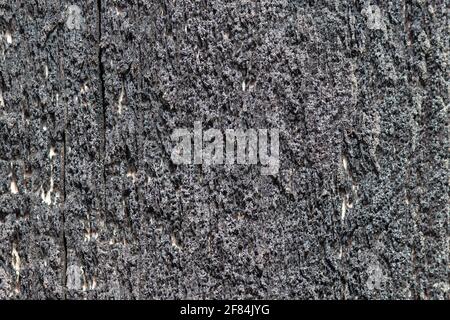 Dark board. Wooden background. An abstract pattern. Gray wood structure. Stock Photo