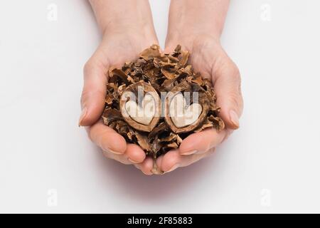 Woman holds out her hands with a bunch of peeled leftovers nuts and two halves of a walnut in the form of a heart on a white background, isolated. Nut Stock Photo