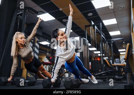 Girl gym pose Royalty Free Vector Image - VectorStock