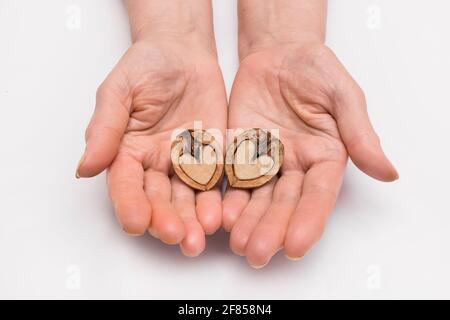 The woman's hands hold two halves of walnut in the form of a heart on a white background, isolated. Stock Photo