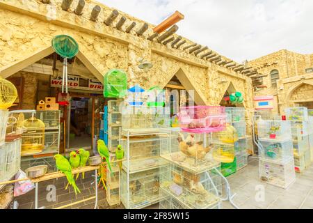 Doha, Qatar - February 19, 2019: many parrots, pet shop and cages at Bird Souq inside Souq Waqif, the old market and popular tourist attraction in Stock Photo