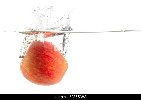 one juicy apple falls into the water with splashes on a white background, place under the text Stock Photo