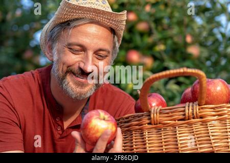 Charismatic Mature Farmer with Hat Holding Red Apple. Healthy Food Concept. Farmer Picking Apples in an Orchard. Stock Photo