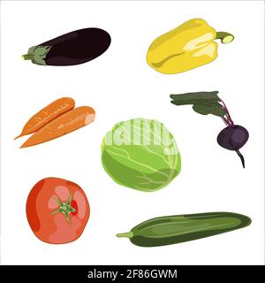 A set of vegetables isolated on a white background.Vector Stock Vector