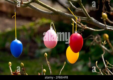 Hanging Easter eggs on rhododendron in garden Stock Photo