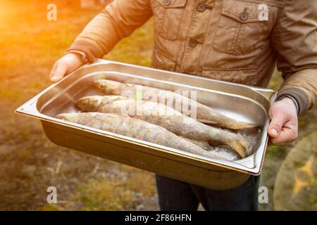 Fish crucian carp is fried in a pan. Freshwater fish crucian carp