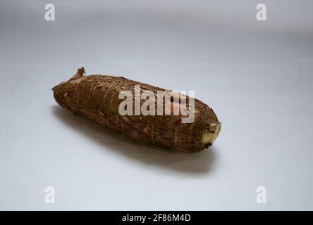 salvador, bahia / brazil - may 22, 2020: cassava roots are seen in the city of Salvador.    *** Local Caption *** .  , Stock Photo