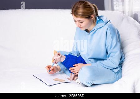 Focused girl student at home in cozy clothes on the couch with a home sphinx cat that prevents the girl from writing. The cat is chewing on the pen Stock Photo