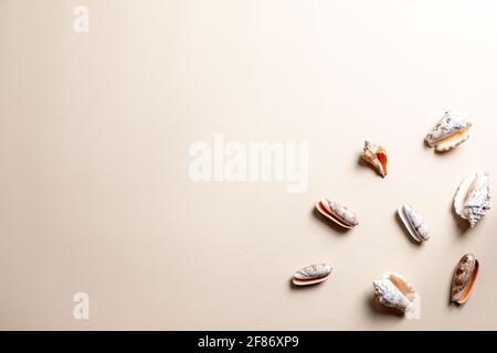 summer composition with different seashells on beige background. copy space Stock Photo