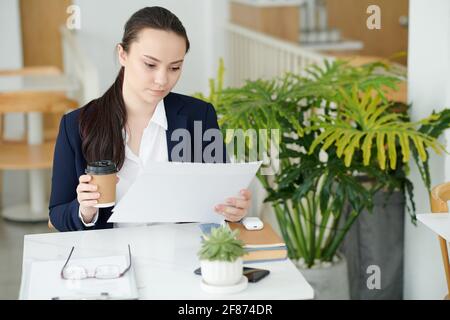 Concentrated young businesswoman drinking take-out coffee when analyzing figures in report Stock Photo