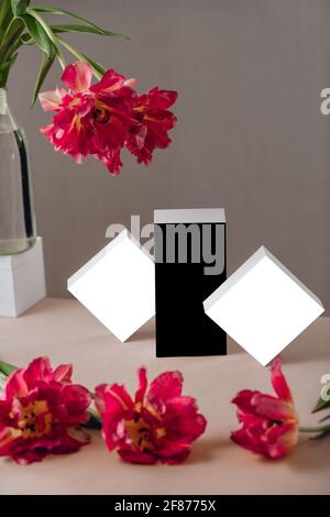 Gift or present box wrapped in white paper and tulip flowers on pink table. Copy space for text. isolated boxes Stock Photo
