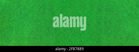 Green carpet for outdoors in panoramic close-up Stock Photo