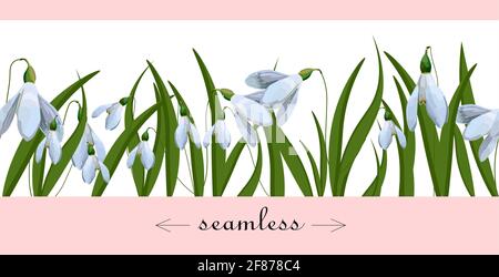 Hi spring! spring postcard. Primroses and lilies of the valley. First flowers.horizontal format.Vector illustration. Stock Vector