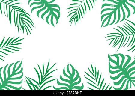 Palm leaves background with copy space on white Stock Vector