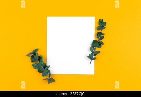White blank card with pastel flowers and ribbon on pink pale background ...