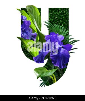 stylized font high res stock images, floral design text, letter y, isolated on white background Stock Photo