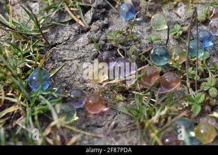 Jellies with beautiful water balls Stock Photo