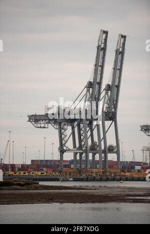 portrait of cranes at Southampton docks terminal DP depot Stock Photo