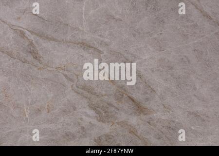 Natural Taj Mahal calcite background in elegant color, new texture for your awesome classic design view. Stock Photo