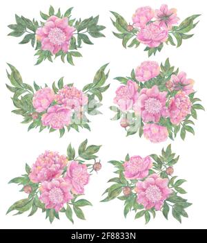 Design set with floral arrangements and bouquets of beautiful peony flowers isolated on white. Hand drawn watercolor illustration, season summer and s Stock Photo