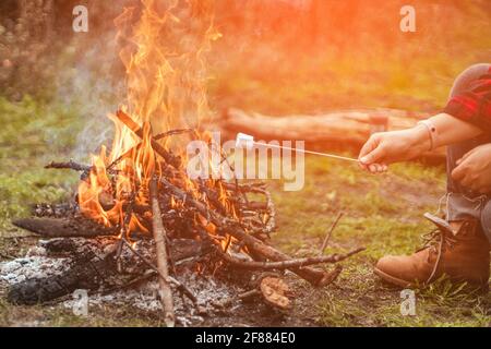 Roasting marshmallows on stick at bonfire in forest outdoor Stock Photo