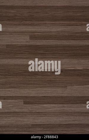 Velo Sand veneer texture, background in light color as part of your exterior look. Stock Photo