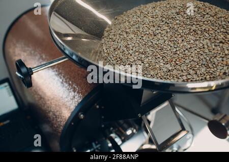 worker barista load green coffee beans 